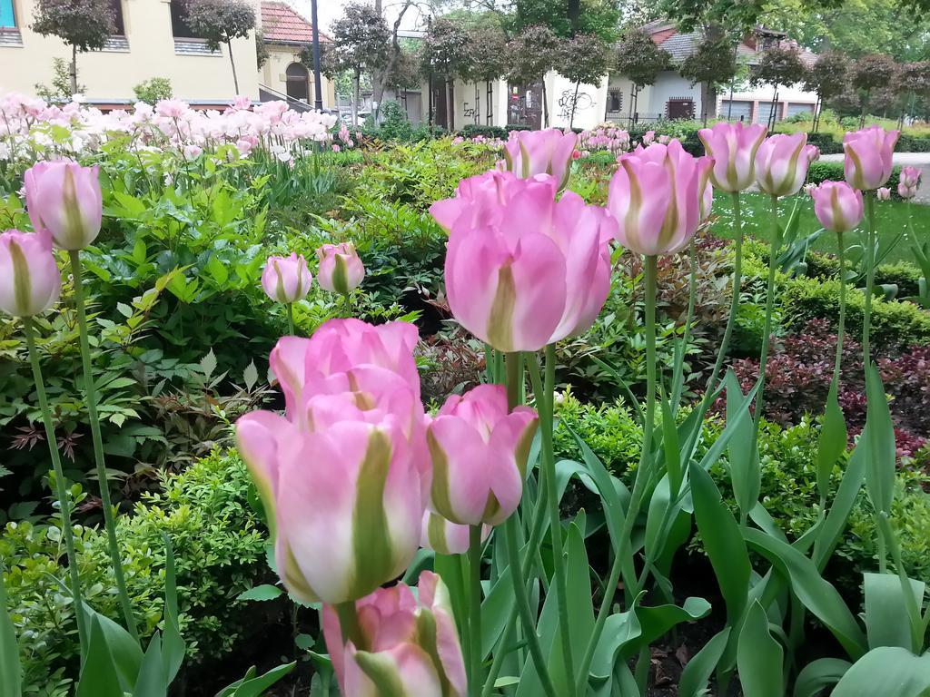 Kierunek Sopot Apartament Pomorski 外观 照片